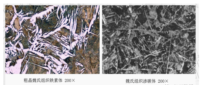 1673258559658.png 1673258559658.png